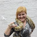 ���� �������, ������������ - ��������� 11 ����� 2016 � ������ ���� ����������