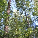 ���� ��������, �����, 63 ���� - ��������� 17 ���� 2016 � ������ ���� ����������