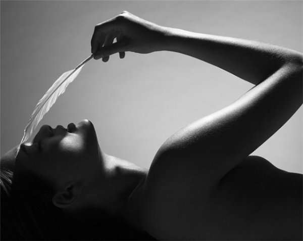  , ,  ,   ,  ,      ,     ...