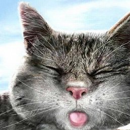 �������, �����-���������, 69 ���