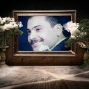���� Mahmoud Gamal, �������, 52 ���� - ��������� 6 �������� 2016 � ������ ���� ����������