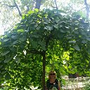 ���� Tanya, ������� - ��������� 18 ���� 2016 � ������ ���� ����������