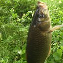 ���� Gena, ��������, 58 ��� - ��������� 10 ���� 2016 � ������ ������ ��������