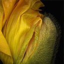 ���� ����, ������ - ��������� 27 ��� 2016 � ������ �������� ������ �����