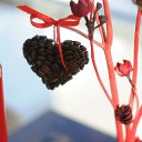 ���� ��������� ���������, ��������� - ��������� 12 ����� 2016 � ������ ���� �������