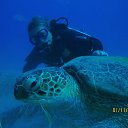 ���� �������, ������, 56 ��� - ��������� 31 ����� 2016 � ������ ���� ����������