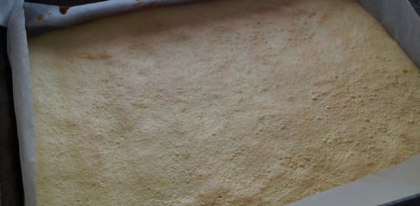   . :   4    4 .    4 .    250 ... - 6