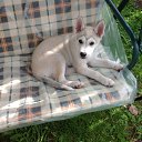 ���� �����, ������ - ��������� 15 ������� 2016 � ������ ���� ����������