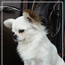 ���� ����, �����-���������, 60 ��� - ��������� 4 ������� 2016