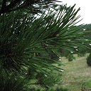  ,  -  22  2016    - Lietuva