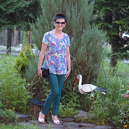 �����, ������ �����, 56 ���