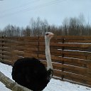 ���� �������, ���������, 53 ���� - ��������� 20 ����� 2016 � ������ �1�