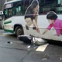 ���� ����, ���������, 41 ��� - ��������� 19 ��� 2016 � ������ ���������