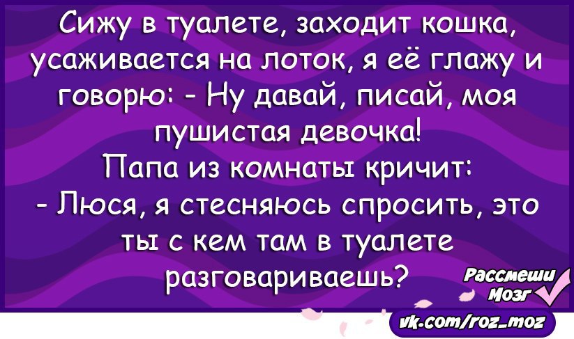 Рассмеши мозг анекдоты в картинках. Шутки чтобы рассмешить. Рассмеши говорю. Анекдот про 24 часа. Рассмеши говорю.
