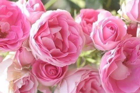    ,      ,       , ... - 5