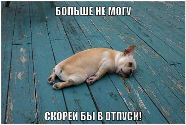 �������� ���� - 21 ����� 2016 � 05:05