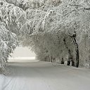 ���� �������, ������, 46 ��� - ��������� 16 ��� 2016 � ������ �߻