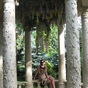 ���� ������, �������, 45 ��� - ��������� 23 ���� 2016 � ������ ���� ����������