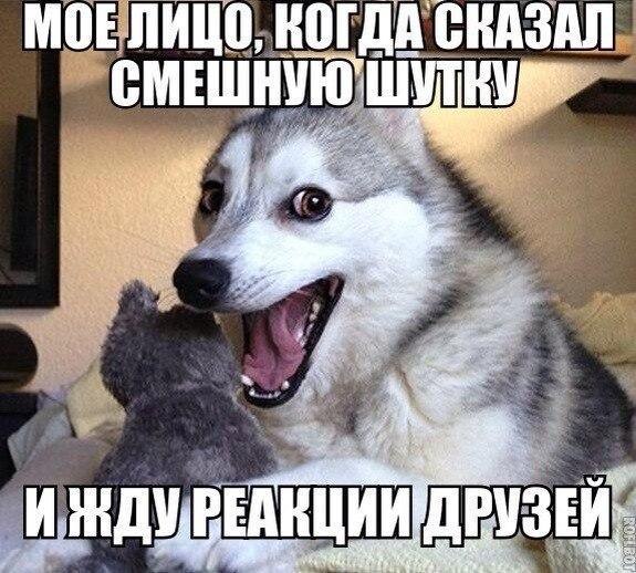 Мем на у тебевыпола мозги. Я что то смешное сказал. Я что то смешное сказал. Смешно да мем. Юморист мем.