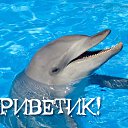 ���� �����, ������ - ��������� 12 ��� 2016 � ������ �������� ��������