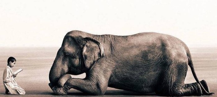 30 принципов мудрой жизни. 1. Отпускайте людей и ситуации. Не прокручивайте возможные варианты ...