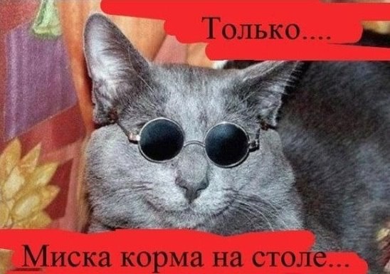 ***Victoria Viktorovna*** - 8  2016  11:49