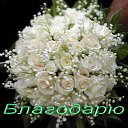 ���� ������, ����� - ��������� 26 ������ 2016 � ������ ������ ��������