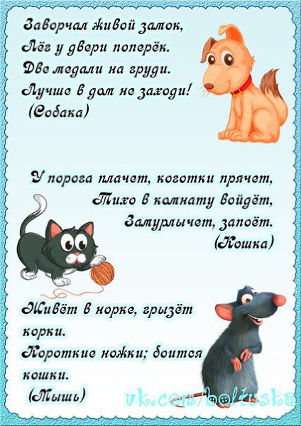 Загадки по теме