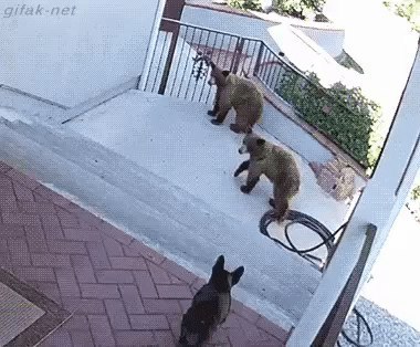 . ��� ��� ��������! ������ �� ������� �� ����. .