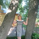 ���� �����, �������, 68 ��� - ��������� 29 ��� 2016 � ������ ���� ����������