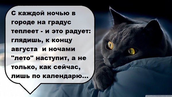 ��� ���� - 9 ���� 2016 � 08:12