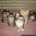 ���� ���������, �������, 62 ���� - ��������� 19 ��� 2016 � ������ ������ ��������