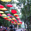 ���� ������, �����, 63 ���� - ��������� 20 ���� 2016 � ������ ���� ����������