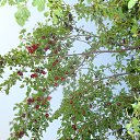 ���� Alex, �������� - ��������� 10 ������� 2016 � ������ ���� ����������