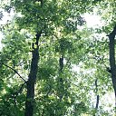 ���� Aurinko, ��������� - ��������� 4 ������� 2016 � ������ ������ ��������