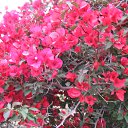  Yuliya,  -  24  2016    2016 Ļ