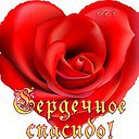 ���� � � � �, ������ - ��������� 28 ���� 2016 � ������ ������ ��������