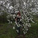 ���� ������, ������-��-����, 66 ��� - ��������� 14 ������ 2016 � ������ ���� ����������