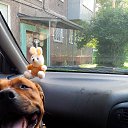 ���� ������, ����������� - ��������� 1 �������� 2016 � ������ ���� ����������