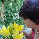 ������ ������!!!! �� ������� ���� ����������