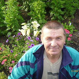 ��������, ���������, 73 ����