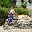 ���� �����, ������ - ��������� 12 ������ 2016 � ������ ���� ����������