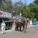 �� ����� ����� ������... �� ������� �����������