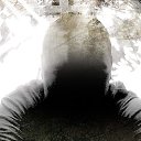 ���� ���������, �������� - ��������� 8 �������� 2016 � ������ ���� ����������