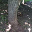  , , 58  -  21  2016    &quot; &quot;  2016