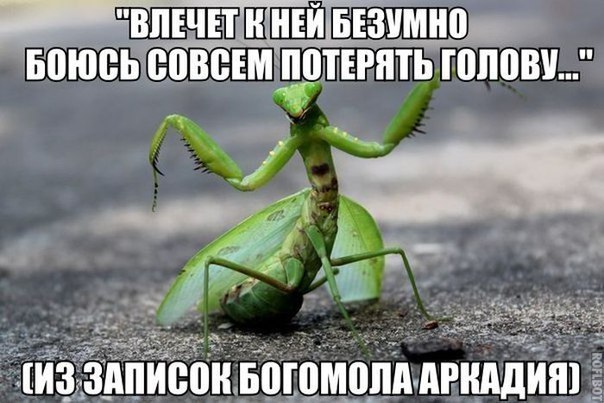 ... - 26  2016  14:35