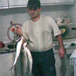 ������, ���������, 56 ���