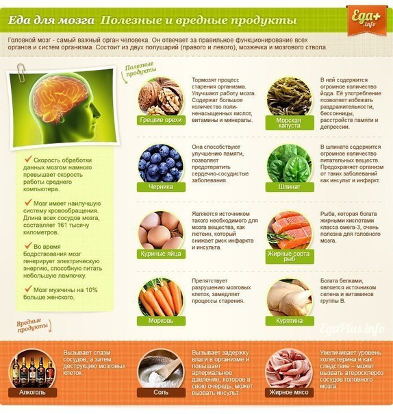 Еда для органов в картинках. #интересное@cooklove - 5
