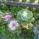 ���� �����, ������������, 73 ���� - ��������� 17 ���� 2016 � ������ ���� ���� ������
