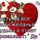 ���� �������, ������������ - ��������� 14 ���� 2016 � ������ ������� ��� ..����������